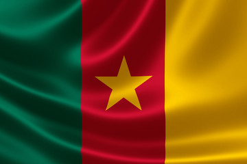 Naklejka premium Cameroon's Flag