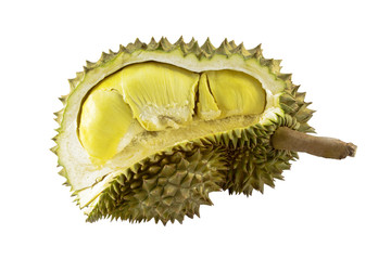 Fototapeta premium durian isolated