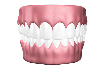 3D teeth close up.
