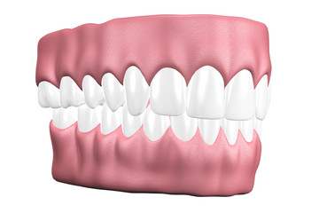 3D teeth close up.