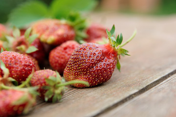 Pile of just gathered strawberries