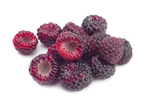 Black raspberry Cumberland