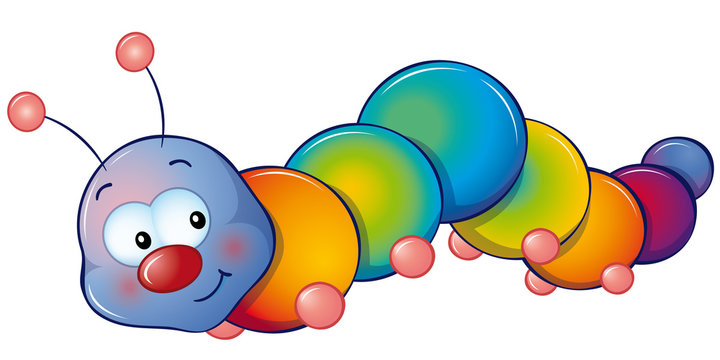 Regenbogenraupe