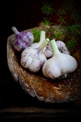 Violet  spring garlic rustic style
