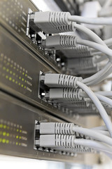 Patch Panel server rack with gray cords