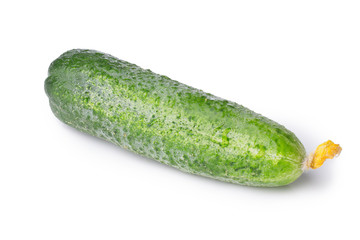 Single tiny cucumber