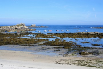 côte bretonne à marée basse