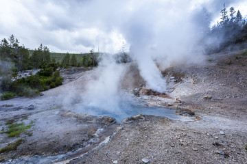 Yellowstone National Park, Utah, USA