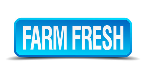 farm fresh blue 3d realistic square isolated button