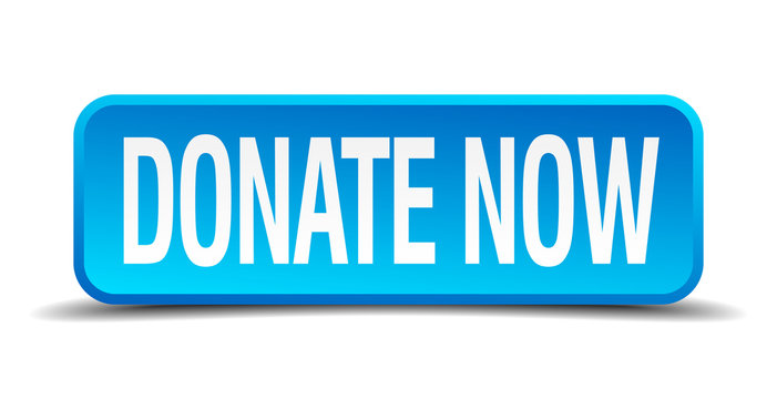 donate now blue 3d realistic square isolated button