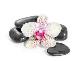 orchid and zen Stones on a white background