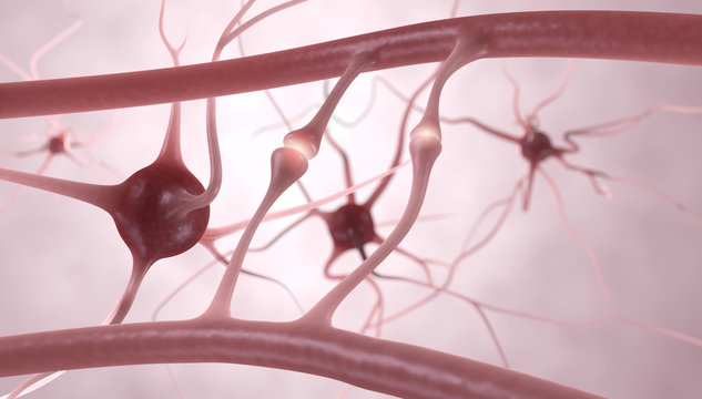 Neuronen, Nervenzellen, Synapsen - 3D Illustration