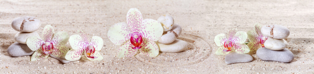 Panorama with orchids and zen stones in the sand - obrazy, fototapety, plakaty
