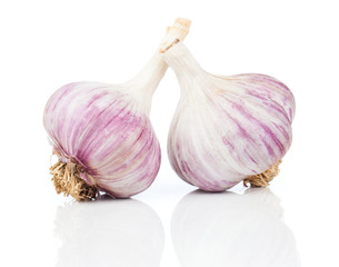 Garlic isolated on white background