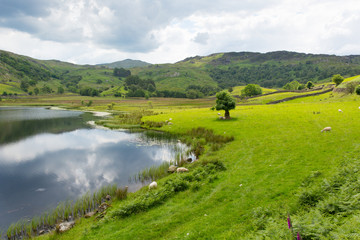 Fototapeta na wymiar Watendlath Tarn Lake District Cumbria England Borrowdale valley