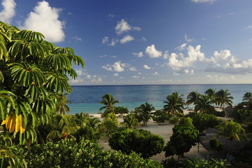 tropischer Strand