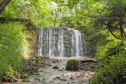 forest waterfall