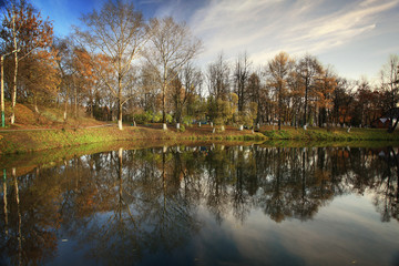 Fototapeta na wymiar trees shore of the pond autumn winter