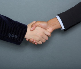 Male and female business handshake