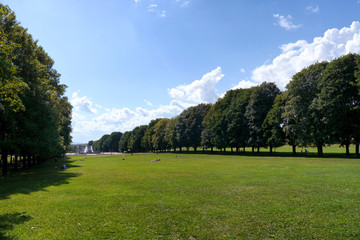sunny green park in oslo, norway
