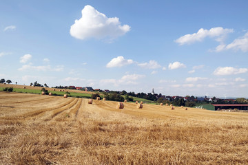 Obraz premium Czas żniw w Weserbergland