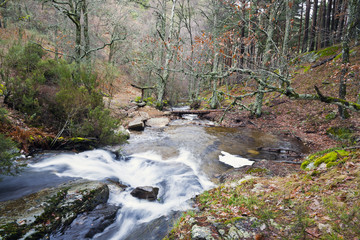 Obraz premium Rio Iruelas