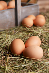 Eggs on table close-up