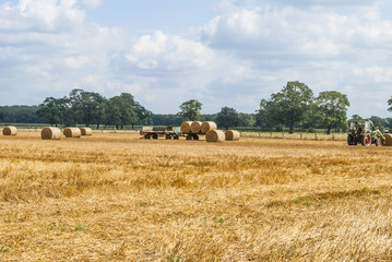 Fototapeta premium Tractor collecting hay bales