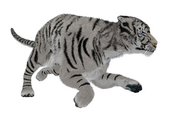 White Tiger