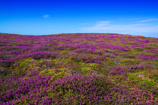 Bretagne
