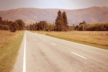 Road in New Zealand. Cross processed filtered tone.