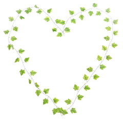green leave heart isolated