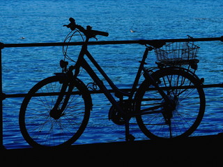 bicycle lake silhouette