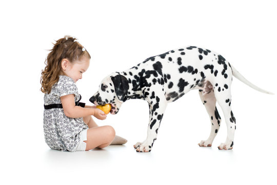 Happy Baby Girl Feeding Dog Isolated On White