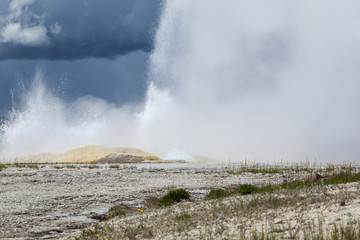 Yellowstone National Park, Utah, USA