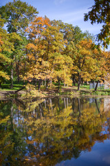 The bright autumn wood is reflected in the lake