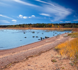 Russia. Autumn sandy coast of the Gulf of Finland