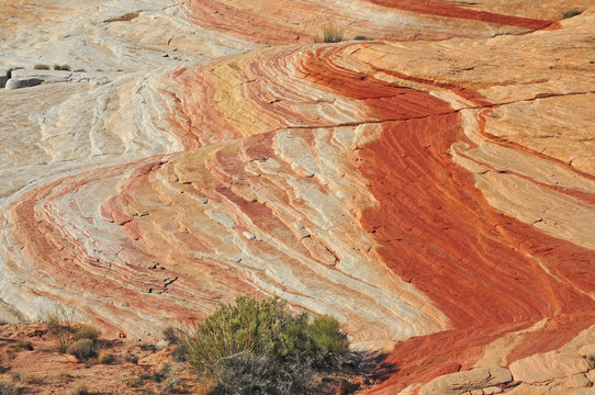 Red Rock Landscape in the Southwest USA