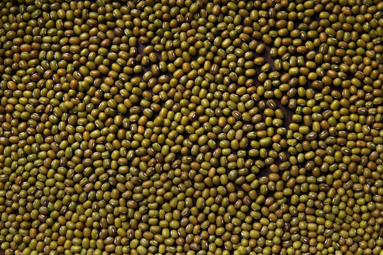 Green mung beans background