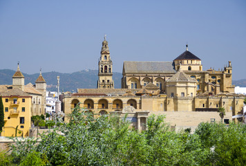 Fototapeta na wymiar Mezquita Cathedral (Great Mosque) in Cordoba