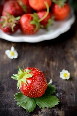 Strawberry in a Bowl