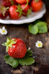 Strawberry in a Bowl