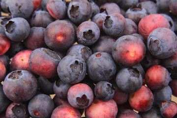 fresh blueberries texture