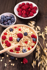 Oat flakes cereal and various berries top view