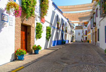Street with flowers in Cordoba (Calleja de las Flores)