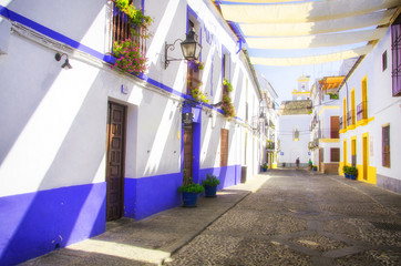 Street with flowers in Cordoba (Calleja de las Flores)