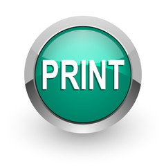 print green glossy web icon