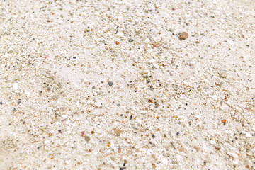Texture of a sand beach in sunny day