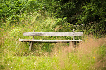 Fototapeta premium Bench