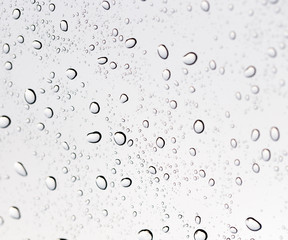 Drops of water on glass